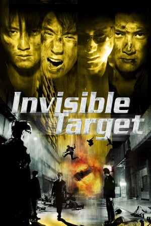 Invisible Target (2007) 140MB Dual Audio ()