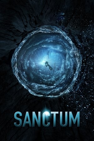 Sanctum (2011) Dual Audio | Dubbed Hindi Movie BluRay [750MB]